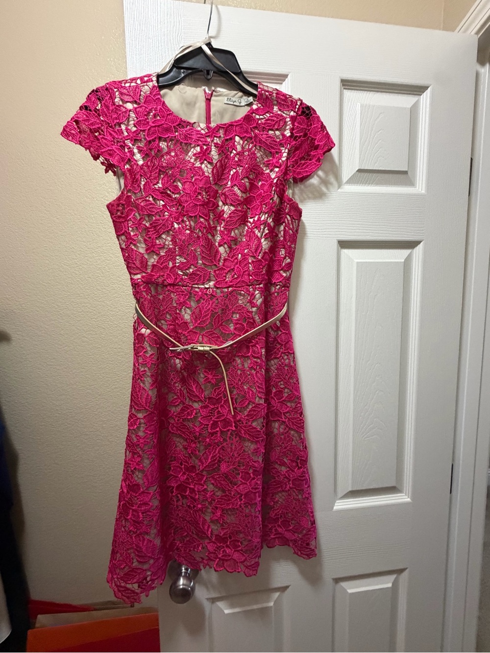 Eliza J Magenta Fuchsia Lace Fit & Flare Dress with Belt - Size 4